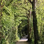 La Parenthèse De La Bouvaque
