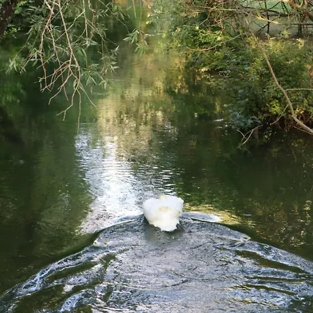 La Parenthèse De La Bouvaque Hébergement de vacances *