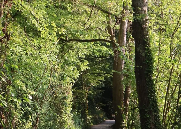 La Parenthèse De La Bouvaque