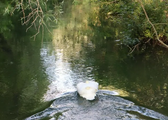 La Parenthèse De La Bouvaque Hébergement de vacances *